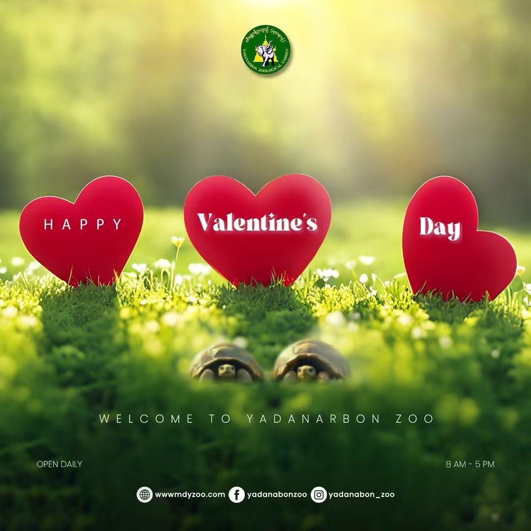 💖 Valentine’s Day Special Event 💖